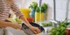 California bill to ban ‘forever chemicals’ in consumer products heads to governor