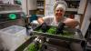 Car repair, kraut and baked goods all part of business for Ann Miller
