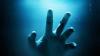 Science Popular Mechanics A Creature of the Sea Found the Secret to Immortality—and Humans Might Know How to Steal It