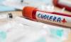 WHO Reports Sharp Rise in Global Cholera Cases and Deaths in 2024