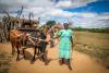 Zimbabwe’s Mining Communities Struggle Amid Widespread Abuse Allegations