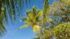 Try these Caribbean island alternatives for a crowd-free escape