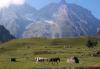 Pahalgam Terror Attack: A Devastating Blow To Kashmir’s Tourism Industry