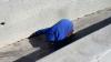 The West Bank: Beyond the Media’s Glare, Ongoing Human Rights Violati...