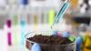 Researchers make game-changing breakthrough that could help protect food supply: 'This is a first step'
