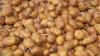 Opinion: Collaboration is key to cutting food waste in agricultu...