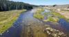Citizen-led science plays a critical role in protecting wild trout fisheries | Brian Wheeler