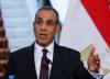 Egypt releases white papers on decade of foreign policy under President Sisi