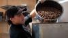 Small Business: French technique meets Pacific passion with Coromandel Chocolate