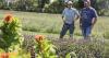 Wisconsin Watch: Juneau County keeps healthy food program alive amid federal cuts