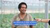 From Singapore Casinos to Greenhouses in Kavaja: Foreign Workers Explain Why They’re in Albania