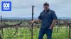 Agritourism expansion leaves NSW winery facing $150,000 land tax bill