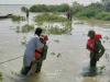 Floods: thermal drone technology helps save 2,000 lives in Punjab