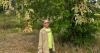 State scientists are planting thousands of Oregon Ash trees in invasive beetle territory, hoping to find rare natural resistance