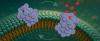 Science ScienceAlert Protein That Pokes Holes in Cells Could Explain Parkinson's Decline