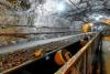 Activists demand action on mining rights abuses in Africa