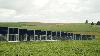 feld.energy raises €10M+ seed to accelerate agricultural photovoltaics in Germany