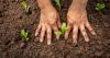 From climate to capital: The business case for regenerative agriculture