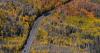 Colorado photographers offer tips and places for fall colors