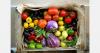 Bangladesh vegetable output up 15% in five years
