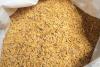 Agri Minister to intervene as rice farmers express concerns over paddy prices