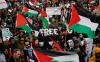 Act MP Simon Court’s pro-Palestine ‘terro dress up’ quip: Prime Minister Christopher Luxon says comment unhelpful