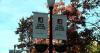 University of Alabama touts record-high enrollment for fall 2025