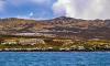 Ancient tropical rainforest accidentally discovered on a treeless island