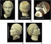 Marble Head Found in Ancient Greek City in Crimea Identified as Laodice