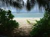 Pacific Island of Guam Faces Ecological Collapse as Millions of Snakes Take Over