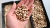 Wood heating prices unlikely to jump this season in Latvia