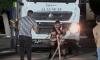 Heavy weights on show! Athletes in Libya flex their muscles as they compete in a truck-pulling competition