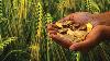 Farm sector clocked world’s highest growth at 3.7% in Q1: Agri min Shivraj Chouhan