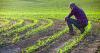 Agricultural sustainability grants up for grabs