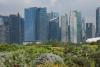 S’pore to buy $76.4m worth of nature-based carbon credits from projects in Ghana, Peru and Paraguay