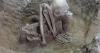 Smoke-dried remains found in Asia may be world's oldest mummies