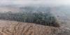 Brazil has new system for daily monitoring of Amazon