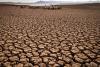 42mn people in six IGAD States facing high acute food insecurity