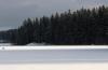 Sweden and Finland urge revision of EU's forestry climate targets