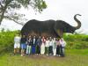 WCM-Q students discover global healthcare challenges in Tanzania