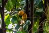 Lifestyle The Cool Down Scientists make game-changing discovery that could transform chocolate industry: 'There is huge unrealized potential'