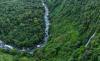 Latin America Is the Deadliest Region For Environmental Activists, Report Finds