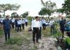 Forest management drives environmental protection and sustainable growth