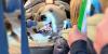 Anchorage polar bear undergoes root canal