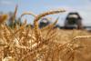 Kazakhstan to Boost Agricultural Exports to Afghanistan 