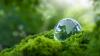 Sustainability as a Baseline in Healthcare Facilities