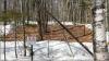 Science New Hampshire Bulletin New Hampshire’s snowpack is shrinking. Researchers are still uncovering the scope of what it means.