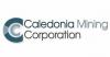 Caledonia Mining to focus on 'big' Zimbabwe gold projects