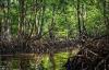 126 Killed As Attacks On Land, Environmental Defenders Heightens Across Africa -New Report Reveals