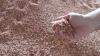 Food Security Is National Security: Potash Gets Ready for Its Closeup